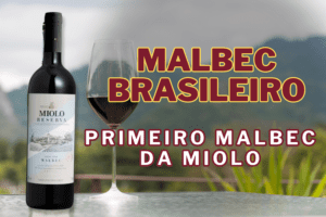 Miolo Reserva Malbec: Miolo Apresenta seu Primeiro vinho com a Casta ícone Argentina