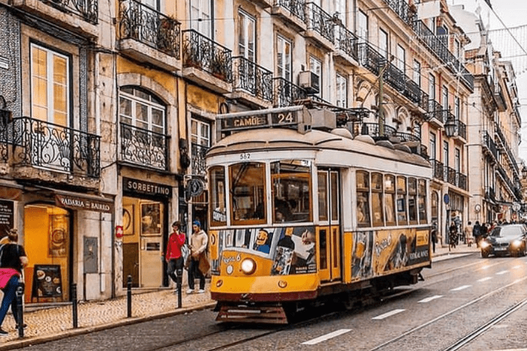 Vinho Porta 6 Tinto: Descubra a História, Sabor e Arte por Trás deste Tesouro Português