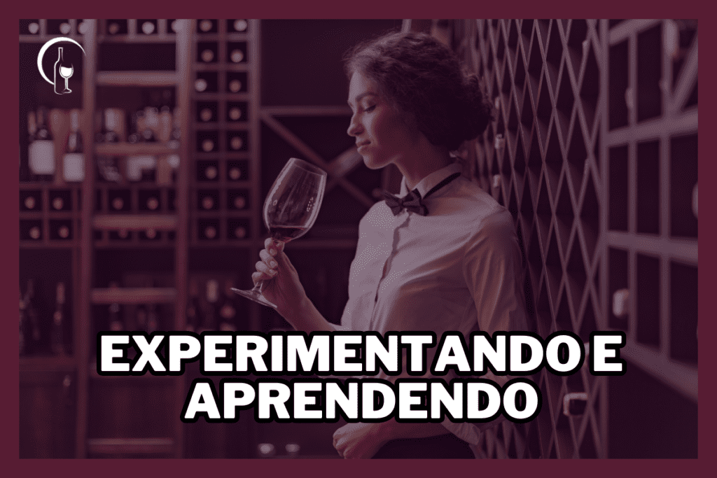 experimentando e aprendendo