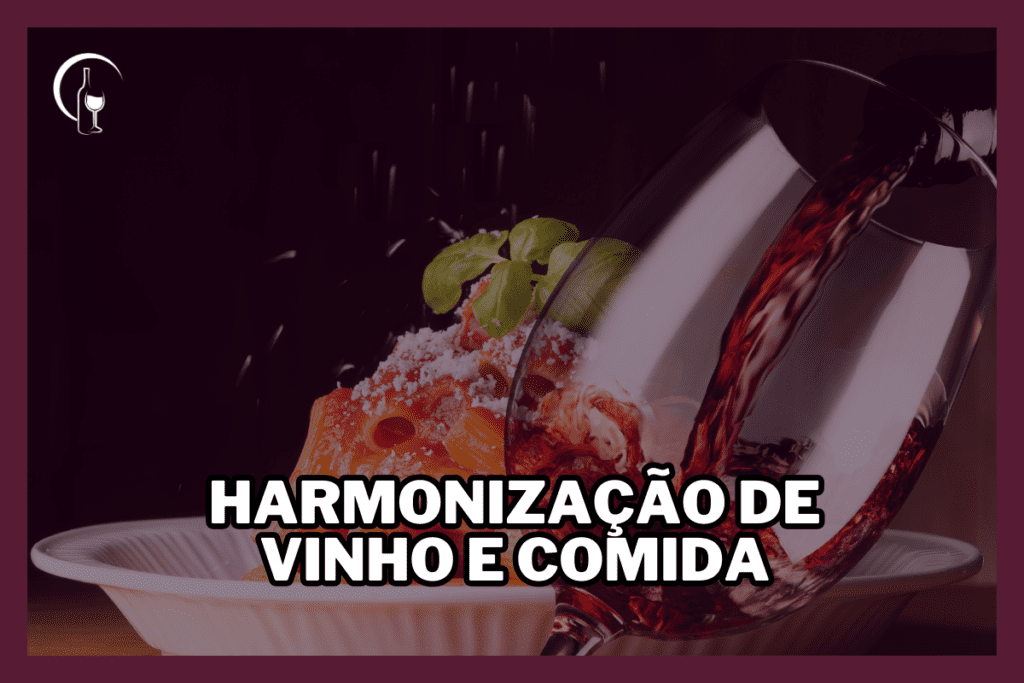 harmonização de vinho e comida